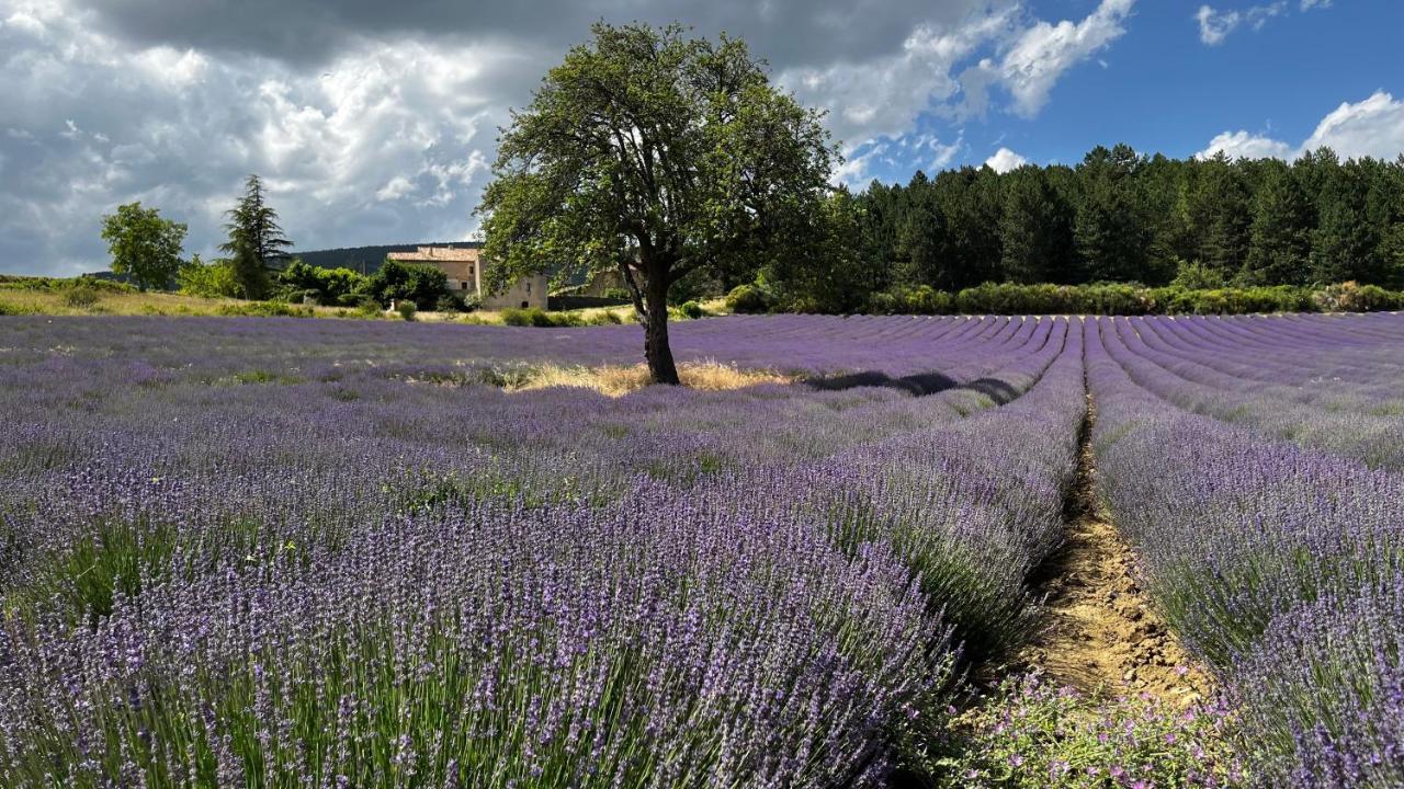 Santolines En Provence Bed & Breakfast Piolenc Exterior foto