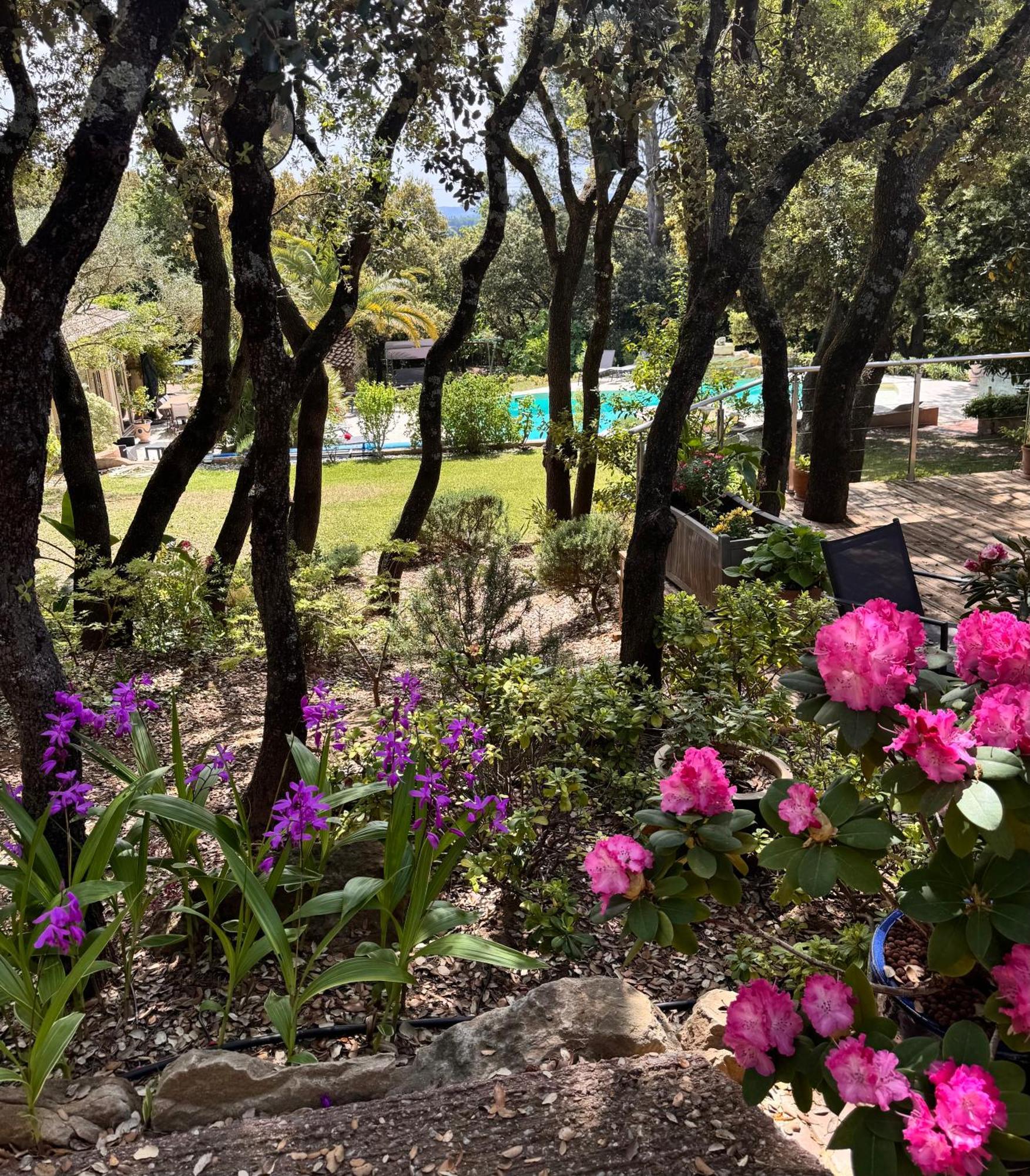 Santolines En Provence Bed & Breakfast Piolenc Exterior foto